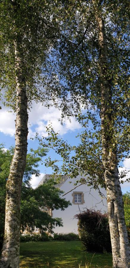 Bed and Breakfast Crown Roads Le Faouet  Екстер'єр фото